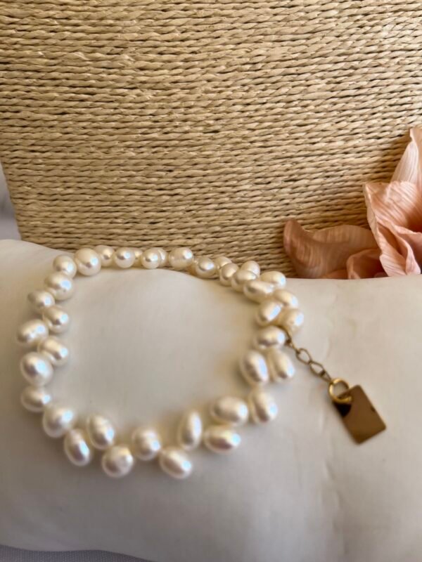 conjunto_armonia_en_diversidad_3_mayela_moreno