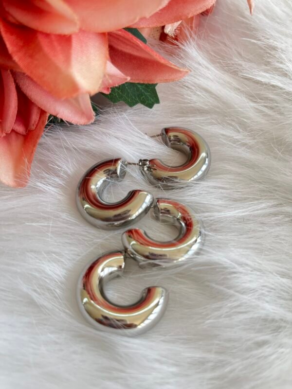 Aretes Paola Plateada