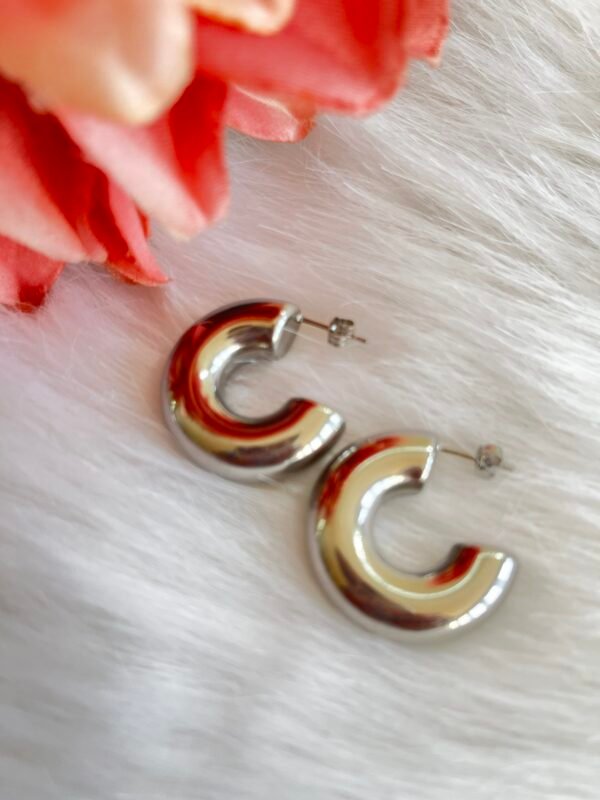 Aretes Paola Plateada - Image 2